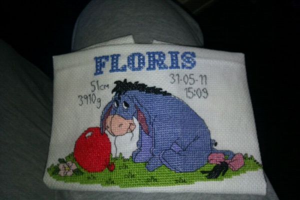 Cross stitched picture of donkey with balloon