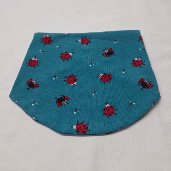 Mickelina blue ladybugs