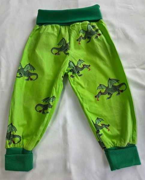Sammy green drake 2y